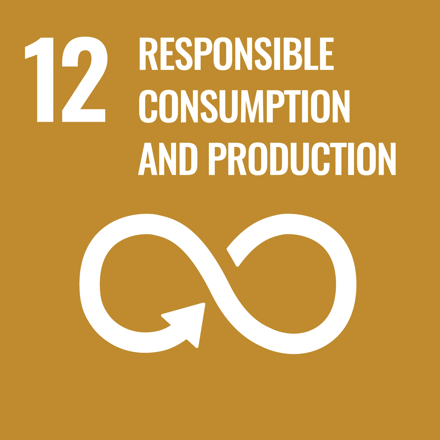 Sustainable Impact - Responsible Consumption and Production