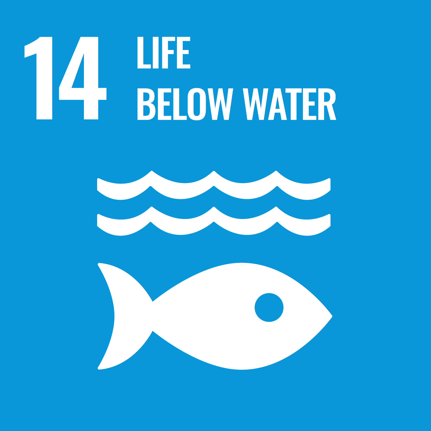 Sustainable Impact - Life Below Water
