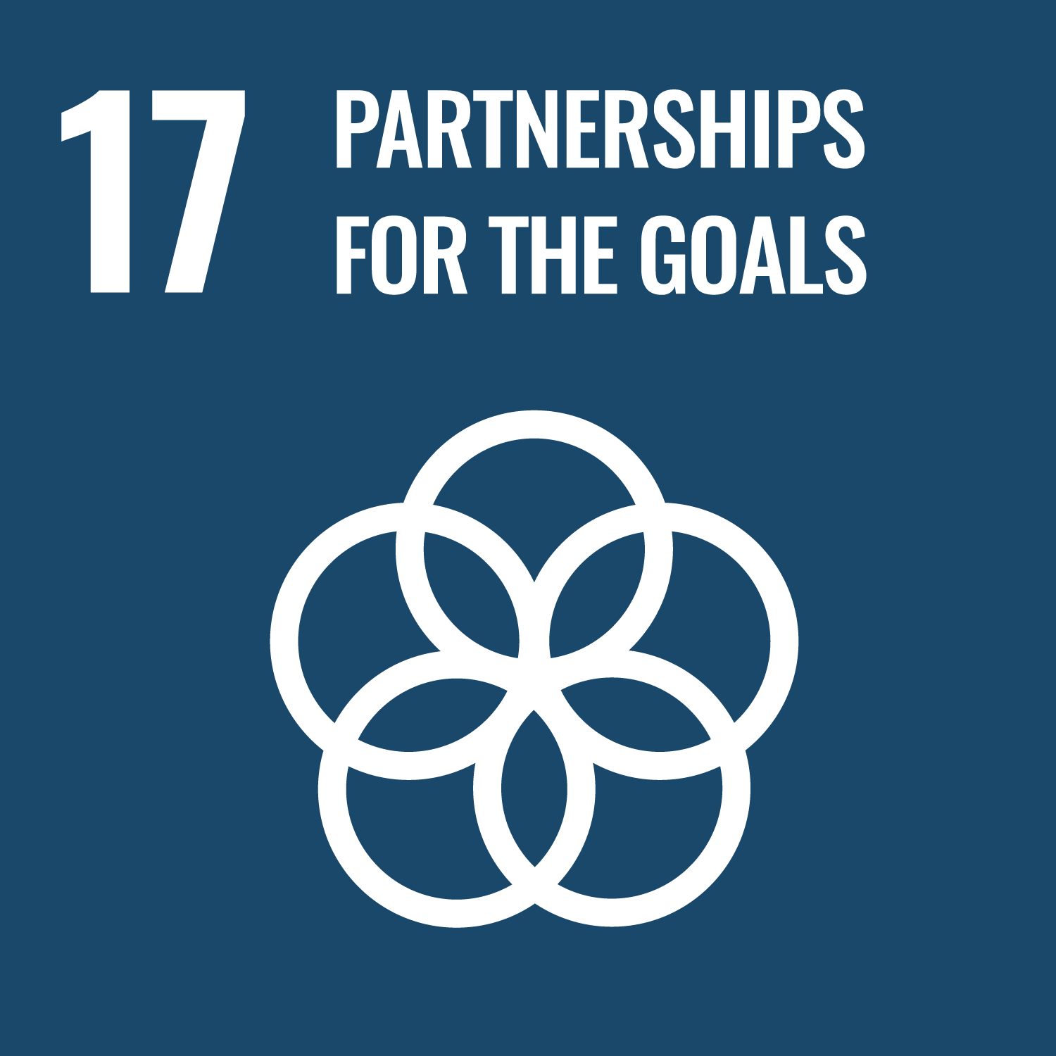 Sustainable Impact - Partnerships to achieve the Goal